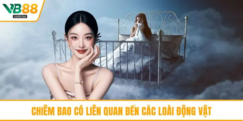 Chiêm bao có liên quan đến các loài động vật Chiêm bao có liên quan đến các loài động vật