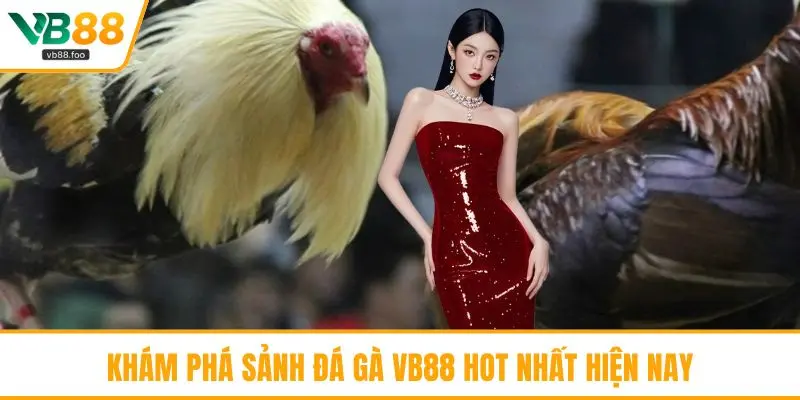 Khám phá sảnh đá gà VB88 hot nhất hiện nay Khám phá sảnh đá gà VB88 hot nhất hiện nay