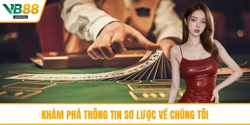 Khám phá thông tin sơ bộ về chúng tôi