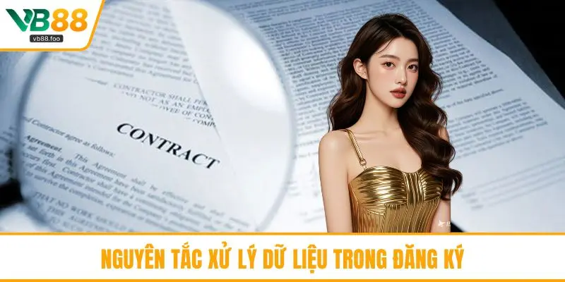 Nguyên tắc xử lý dữ liệu trong đăng ký Nguyên tắc xử lý dữ liệu trong đăng ký